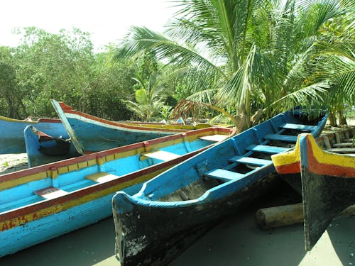 Fotobanka s bezplatnými fotkami na tému člny, rieka, tropický