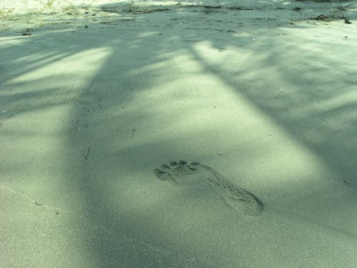 Free stock photo of beach, footprint, sand beach