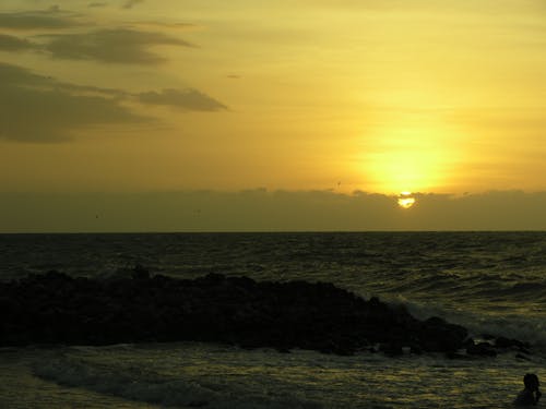 Gratis lagerfoto af gylden solnedgang, strand