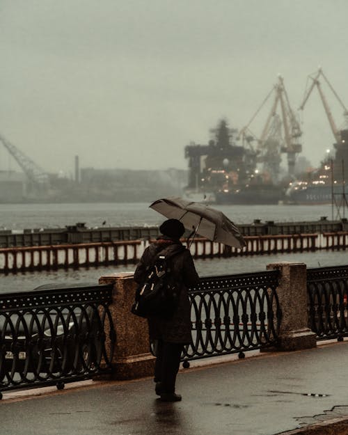 Foto profissional grátis de andando, calçada, guarda-chuva