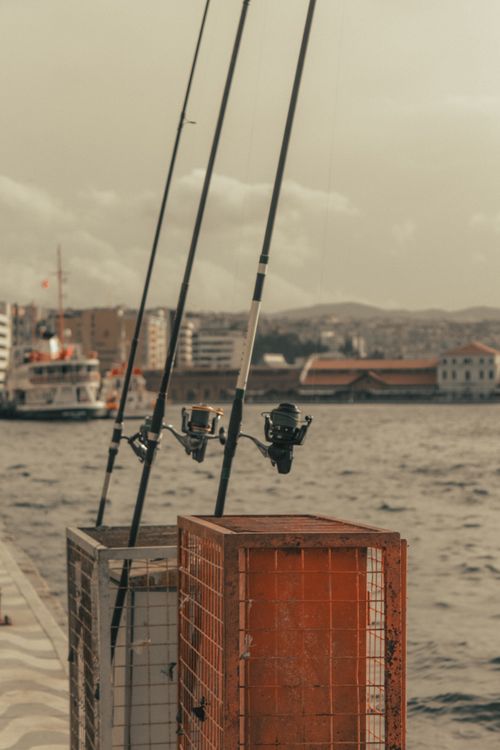Free Fishing poles set against an urban waterfront backdrop, capturing a serene city vibe. Stock Photo
