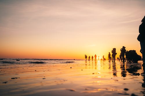 A Silhouette of People on a Beach