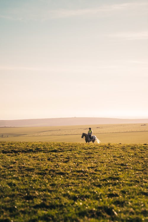 Person Riding a Horse · Free Stock Photo