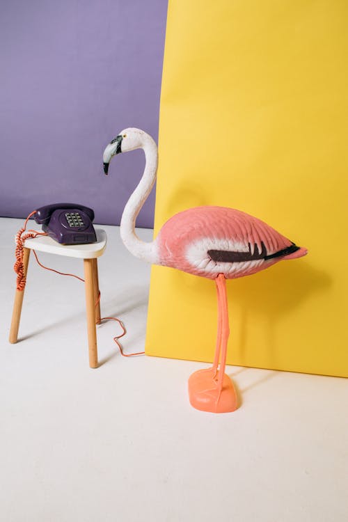Pink Flamingo Figurine Beside a Telephone