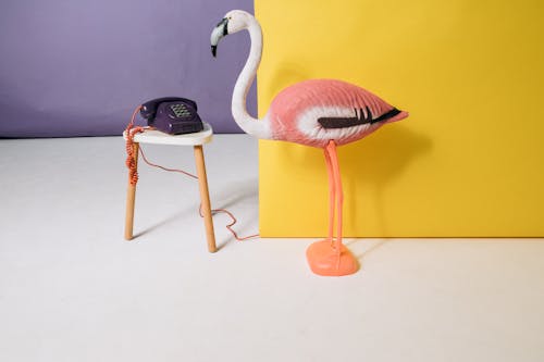 Imagine de stoc gratuită din figurină, flamingo, telefon