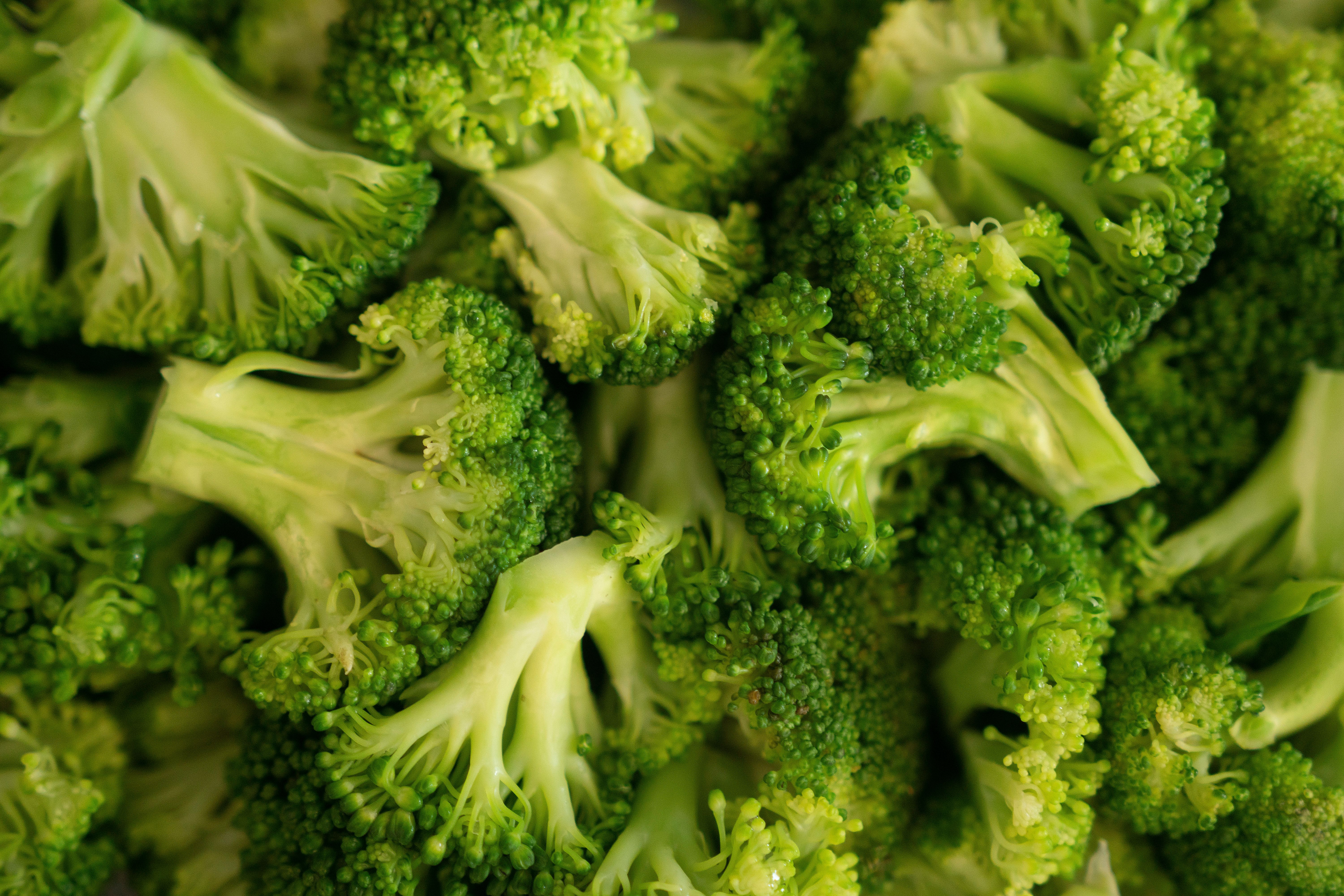Close-up shot of fresh green broccoli florets showcasing natural texture.
