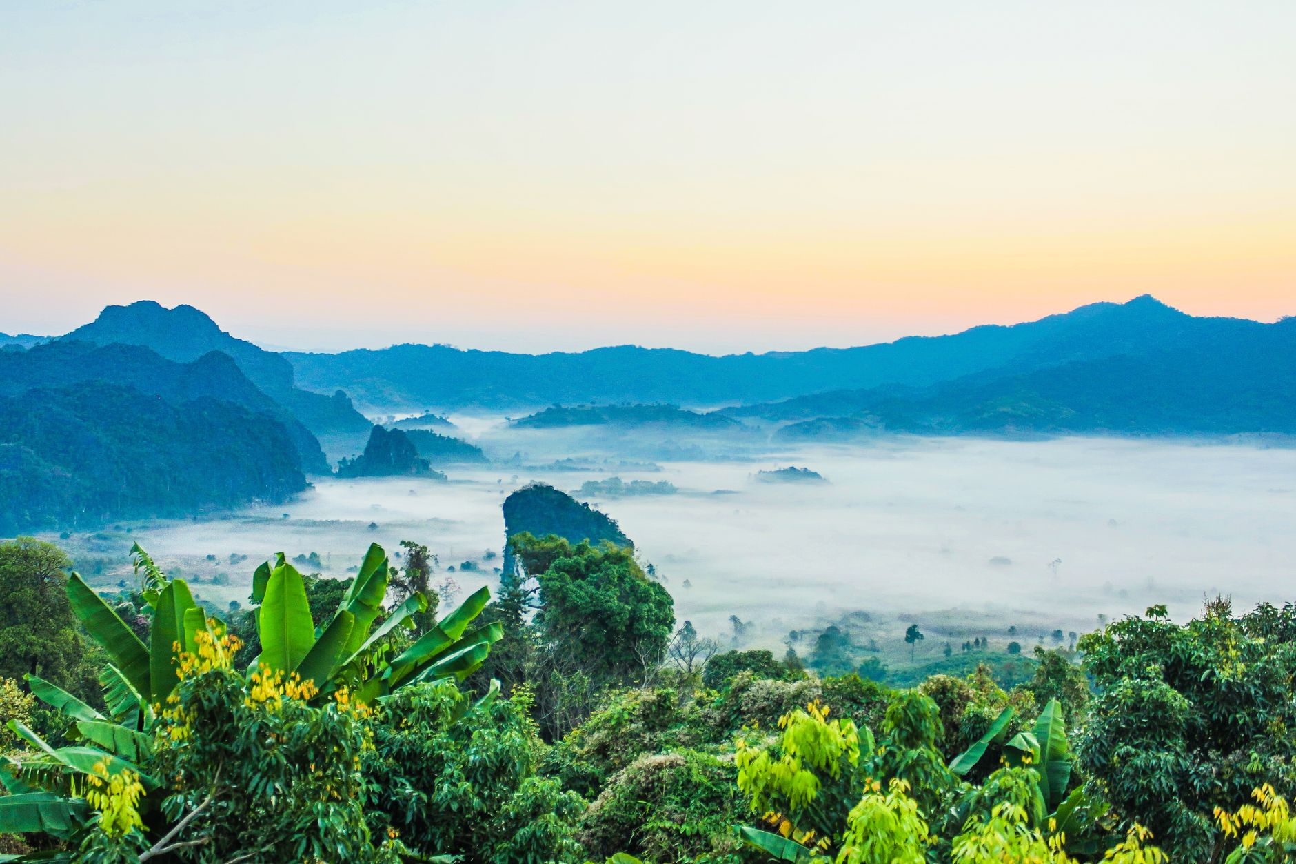 Bellissimo paesaggio tropicale con nebbia mattutina e vegetazione lussureggiante in un'impostazione serena della valle.