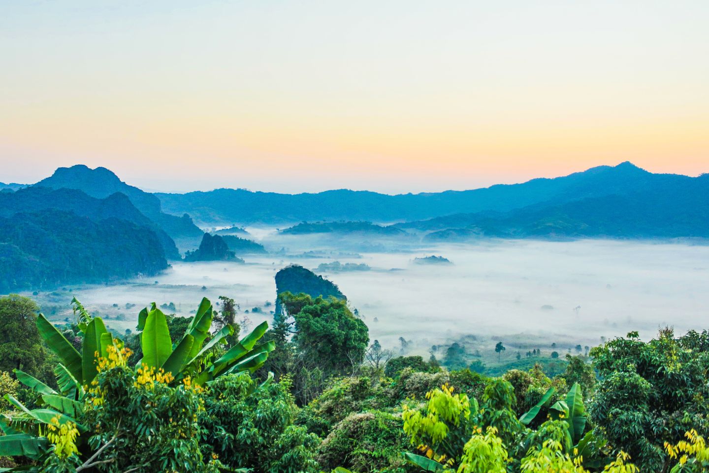 Bellissimo paesaggio tropicale con nebbia mattutina e vegetazione lussureggiante in un'impostazione serena della valle.