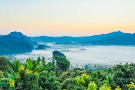 在一个宁静的山谷中，美丽的热带景观与晨雾和郁郁葱葱的绿色植物相映成趣