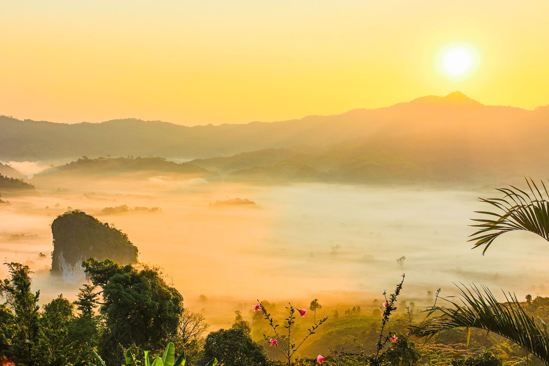 Captivating view of a tropical mountain landscape enveloped in morning mist at sunrise, with vibrant flora.. pexels, captivat
