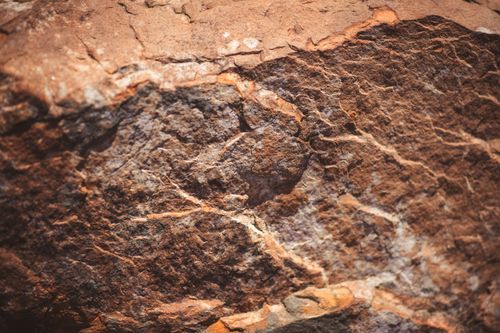 Free Detailed close-up of brown rock surface showing natural textures and cracks. Stock Photo
