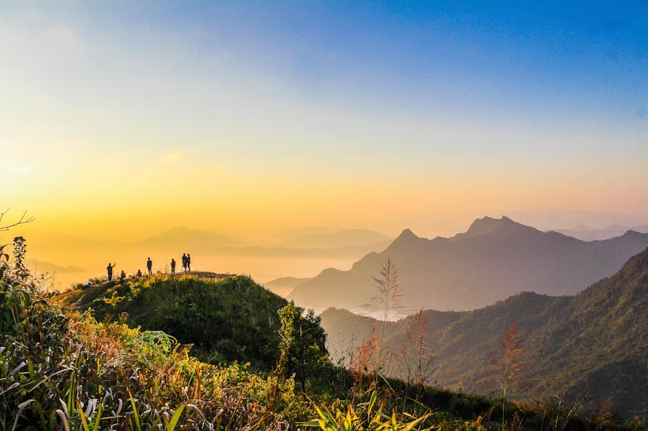 Photo of People Standing on Top of Mountain Near Grasses ...