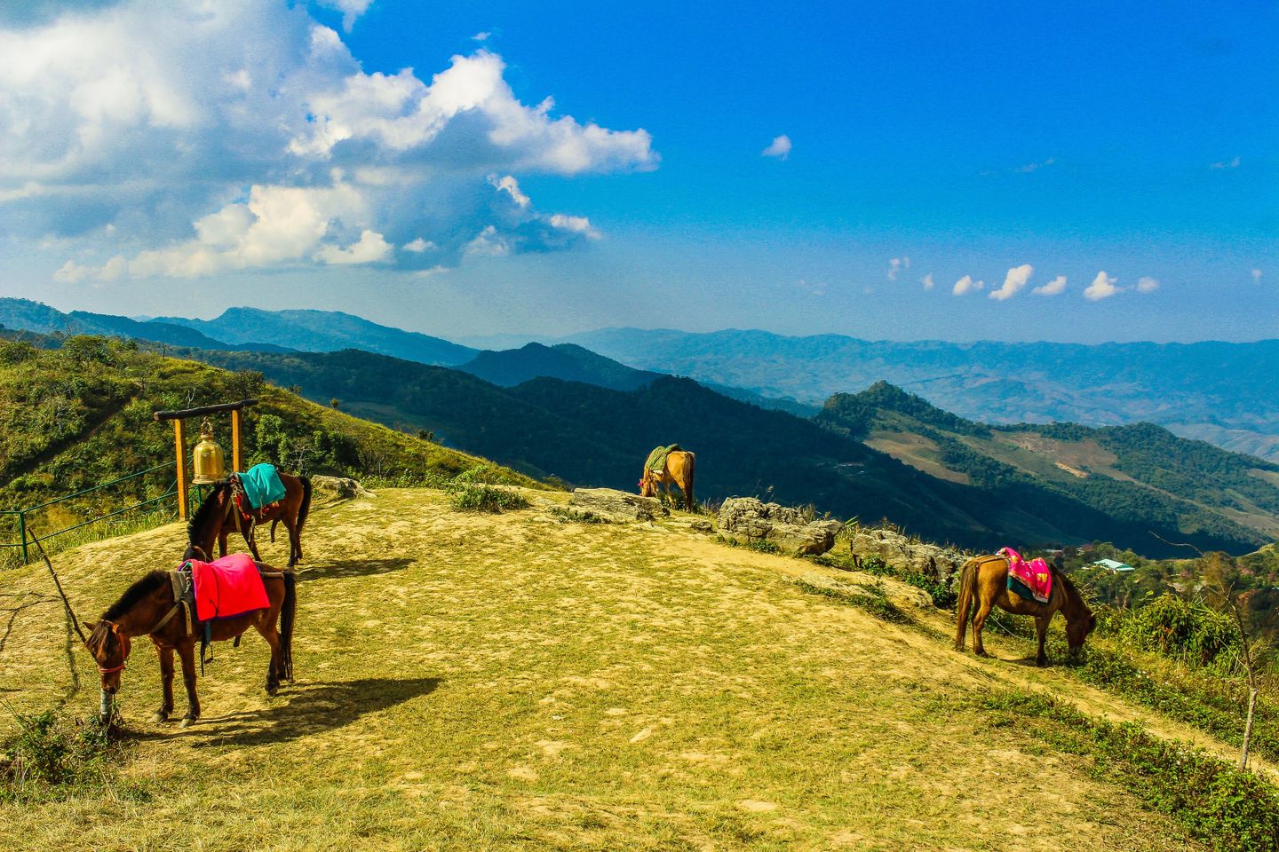 Cavalli al pascolo su una collina erbosa con una vista mozzafiato sulle montagne thailandesi sotto un cielo azzurro