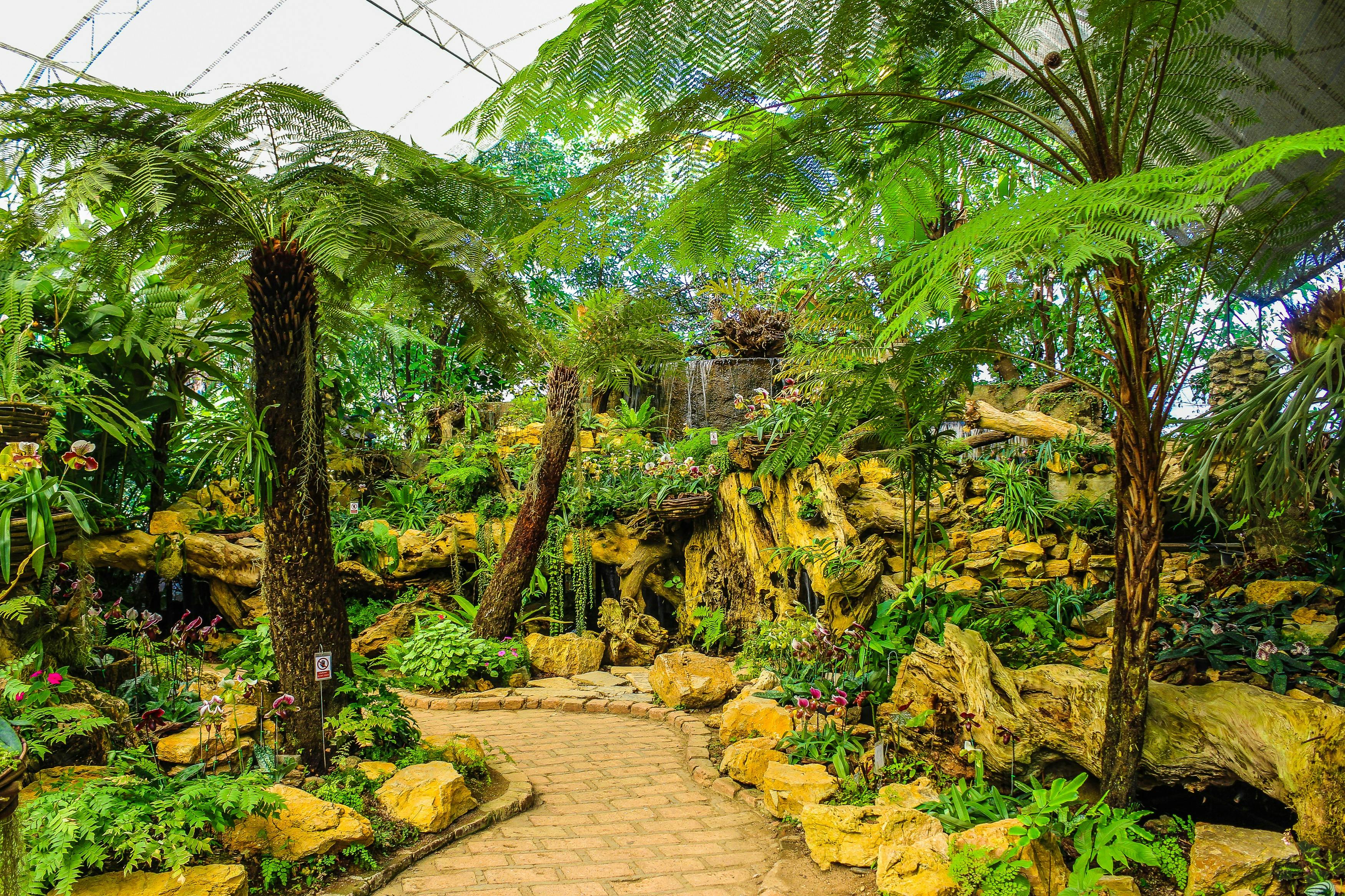 assorted green plants and trees