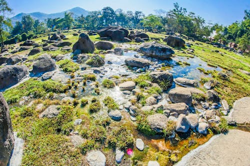 Foto profissional grátis de água, ao ar livre, árvores