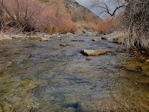 

A Close-Up Shot of Water Flowing in a River