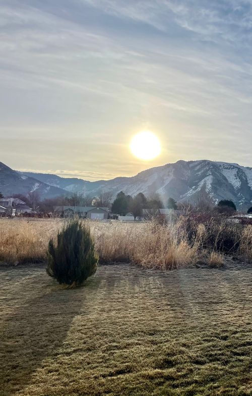Free Beautiful golden hour view of a grassy field with mountains and sun setting in the background. Stock Photo