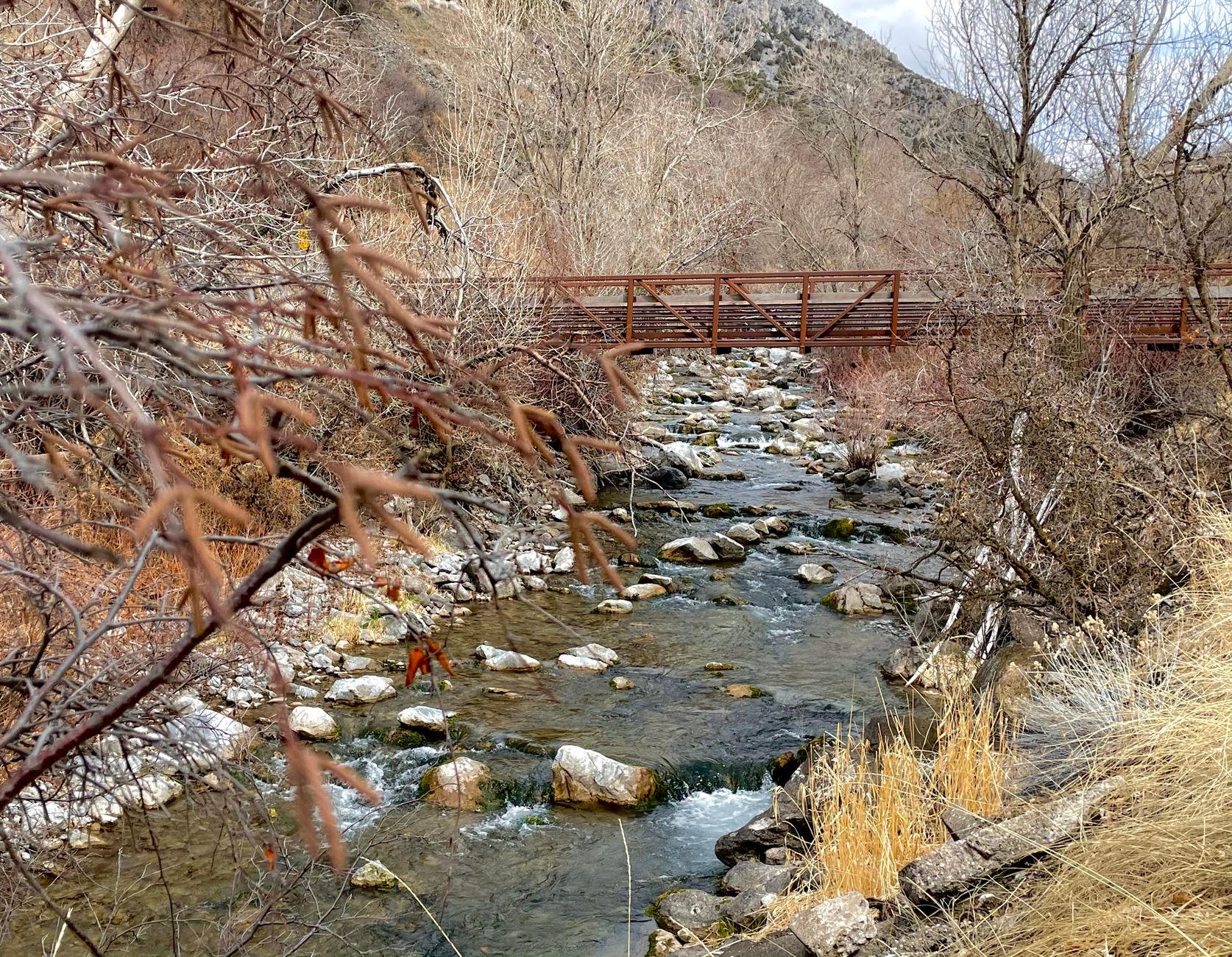 Zoom Through Provo: Zipline Adventure! photo