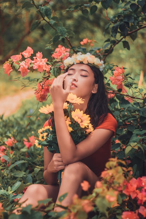 Kostnadsfri bild av anläggning, blommor, flora