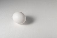 White Egg on White Surface