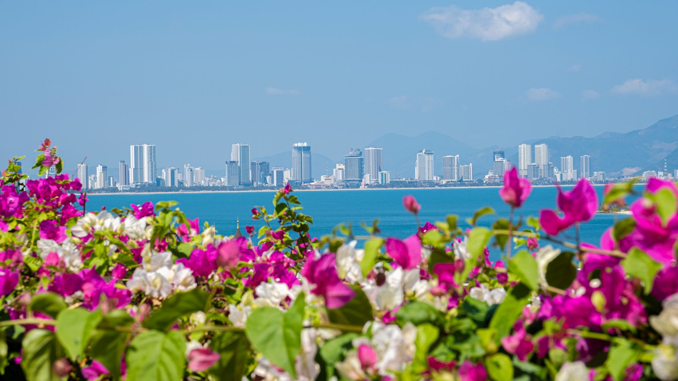 Picturesque view of bougainvillea growing on shore of sea against blue sky with cityscape on background