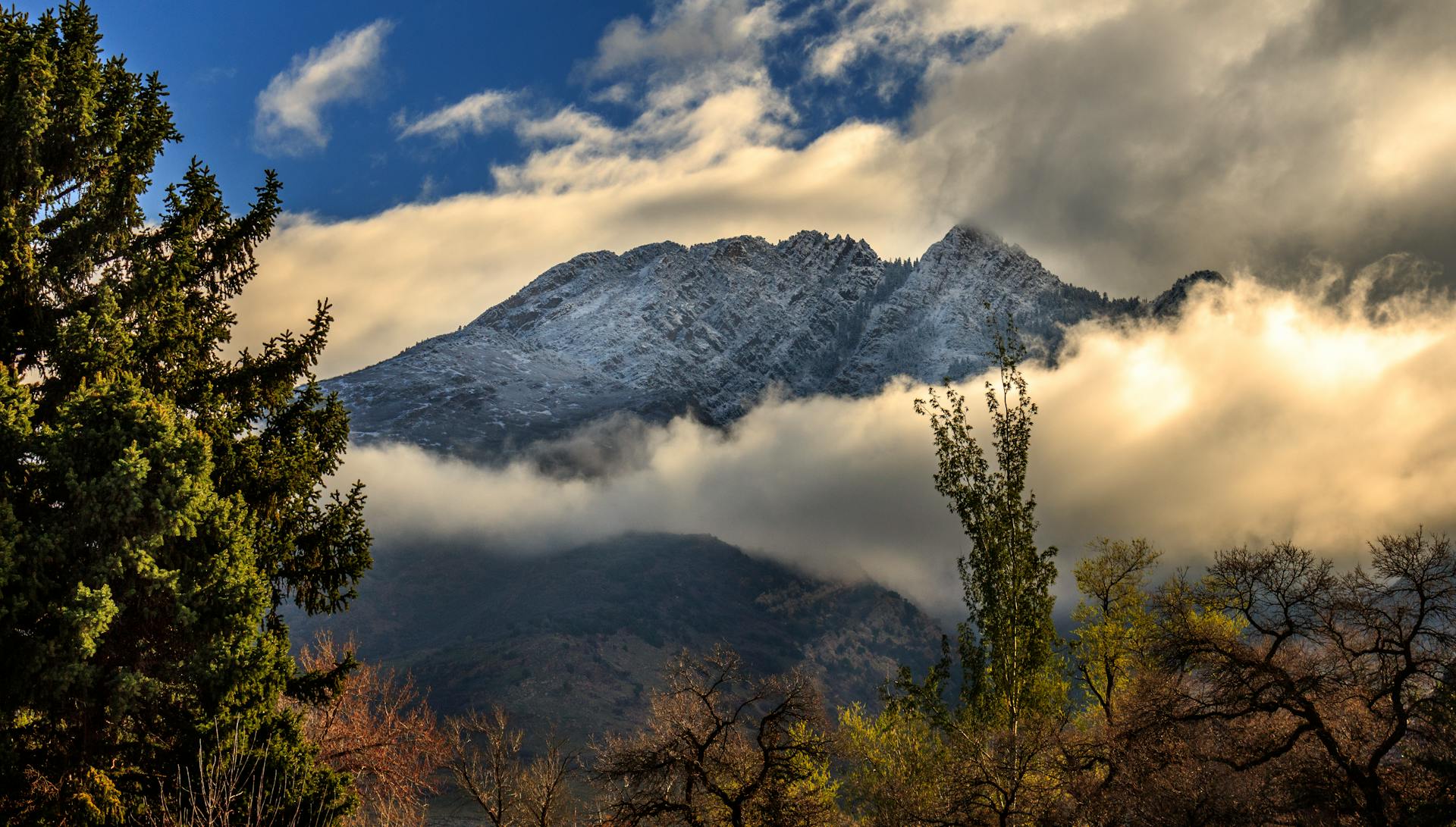 Snow-capped mountains peeking through clouds in a lush forest setting near Salt Lake City.
