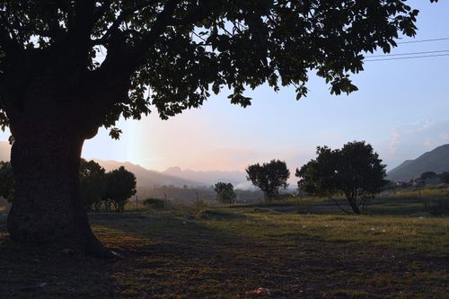 Free Captivating sunrise over a lush, serene landscape with silhouettes of trees and distant mountains. Stock Photo