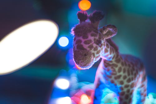 Free Giraffe Plush Toy Close Up Photo Stock Photo