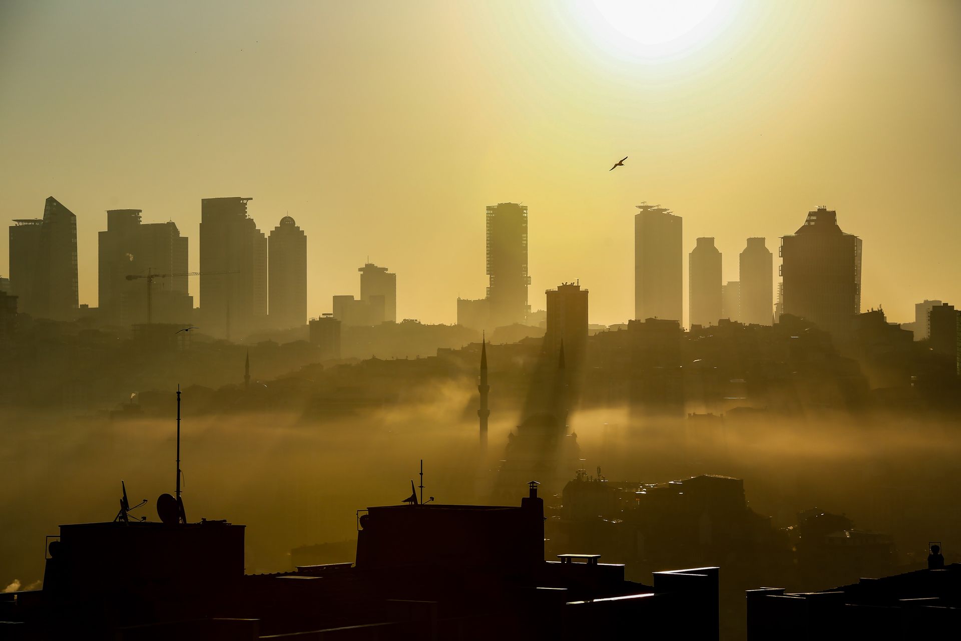El perfil de una ciudad temblando entre la bruma bajo un sol intenso