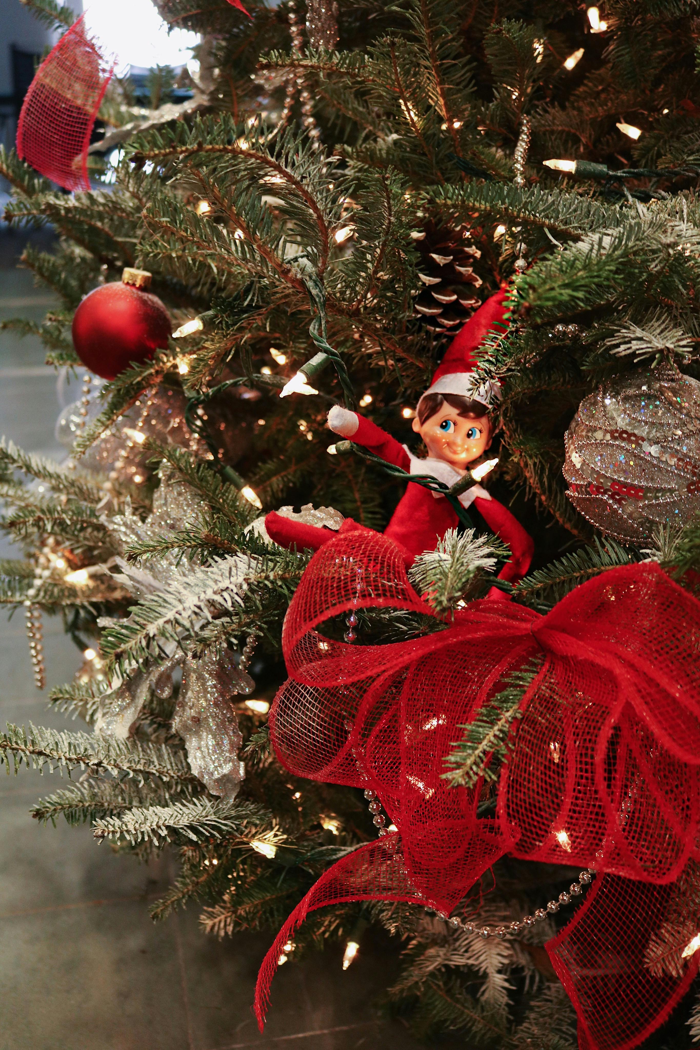 Free stock photo of christmas, christmas tree, elf