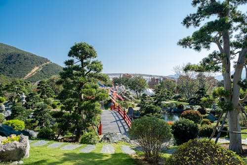 Bridge in park with trees