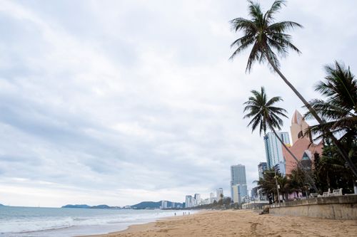 Free Picturesque scenery of sandy coast with palms near wavy sea and city under cloudy sky Stock Photo