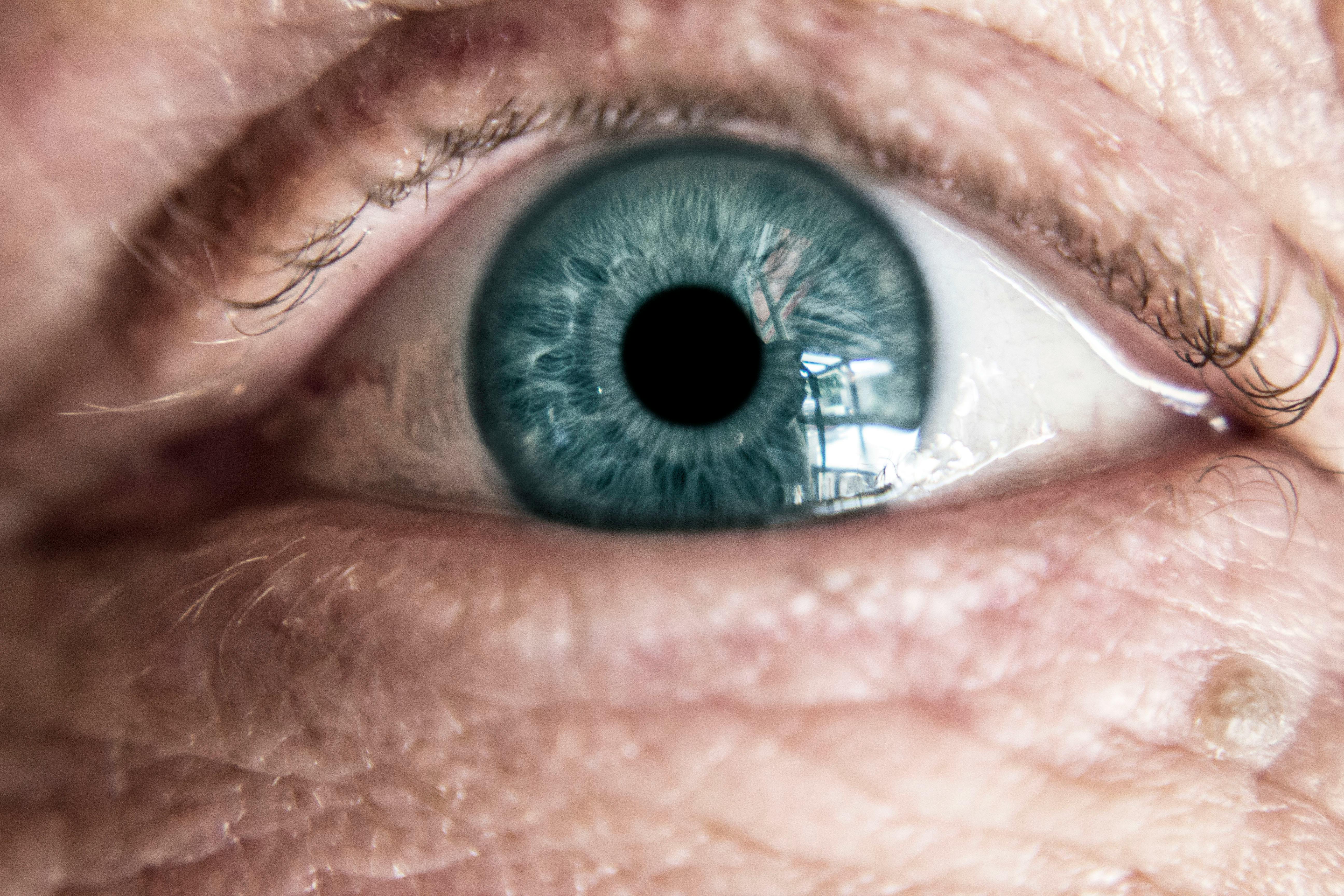 Close-Up Photography of Eye · Free Stock Photo