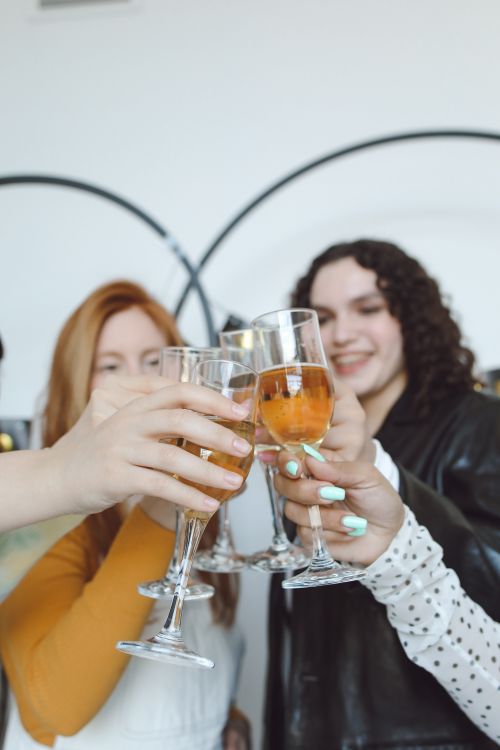 Free Group of friends cheerfully toasting with glasses at a celebration indoors. Stock Photo