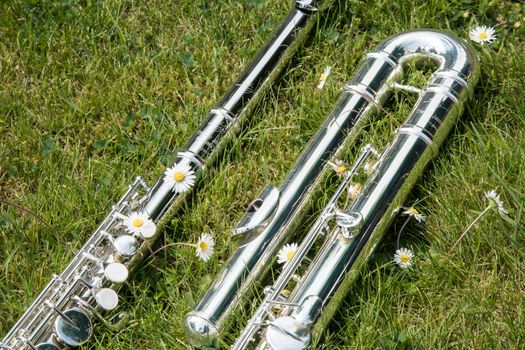 Shiny Flutes on Green Grass