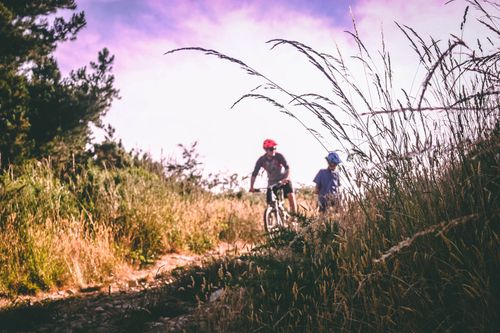 Free Two cyclists wearing helmets navigate through a scenic unpaved path surrounded by tall grass and natural landscape. Stock Photo