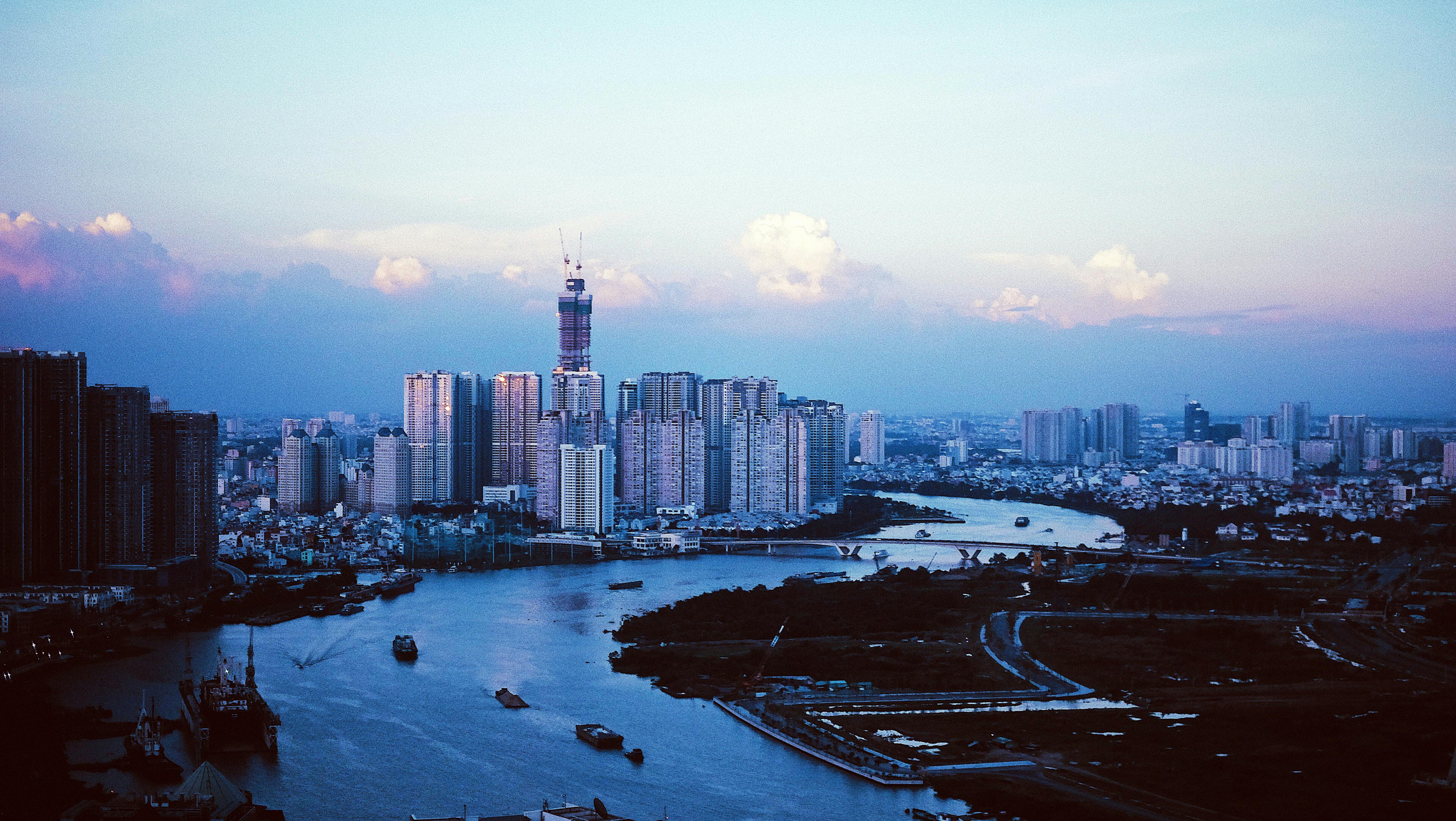 观叶盆栽图片大全图片-第15张图片-吾爱花网