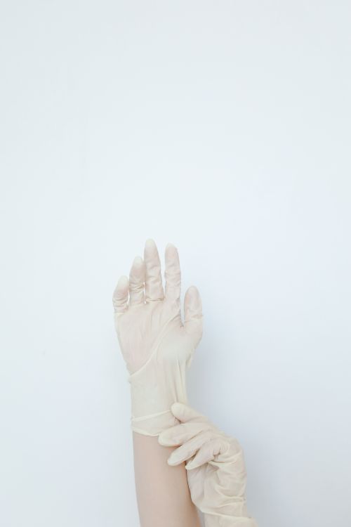 Free A person is putting on disposable latex gloves against a neutral white background. Stock Photo