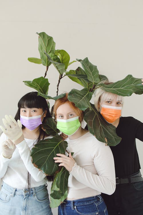Free Women Wearing Disposable Face Masks Near Green Plant Stock Photo