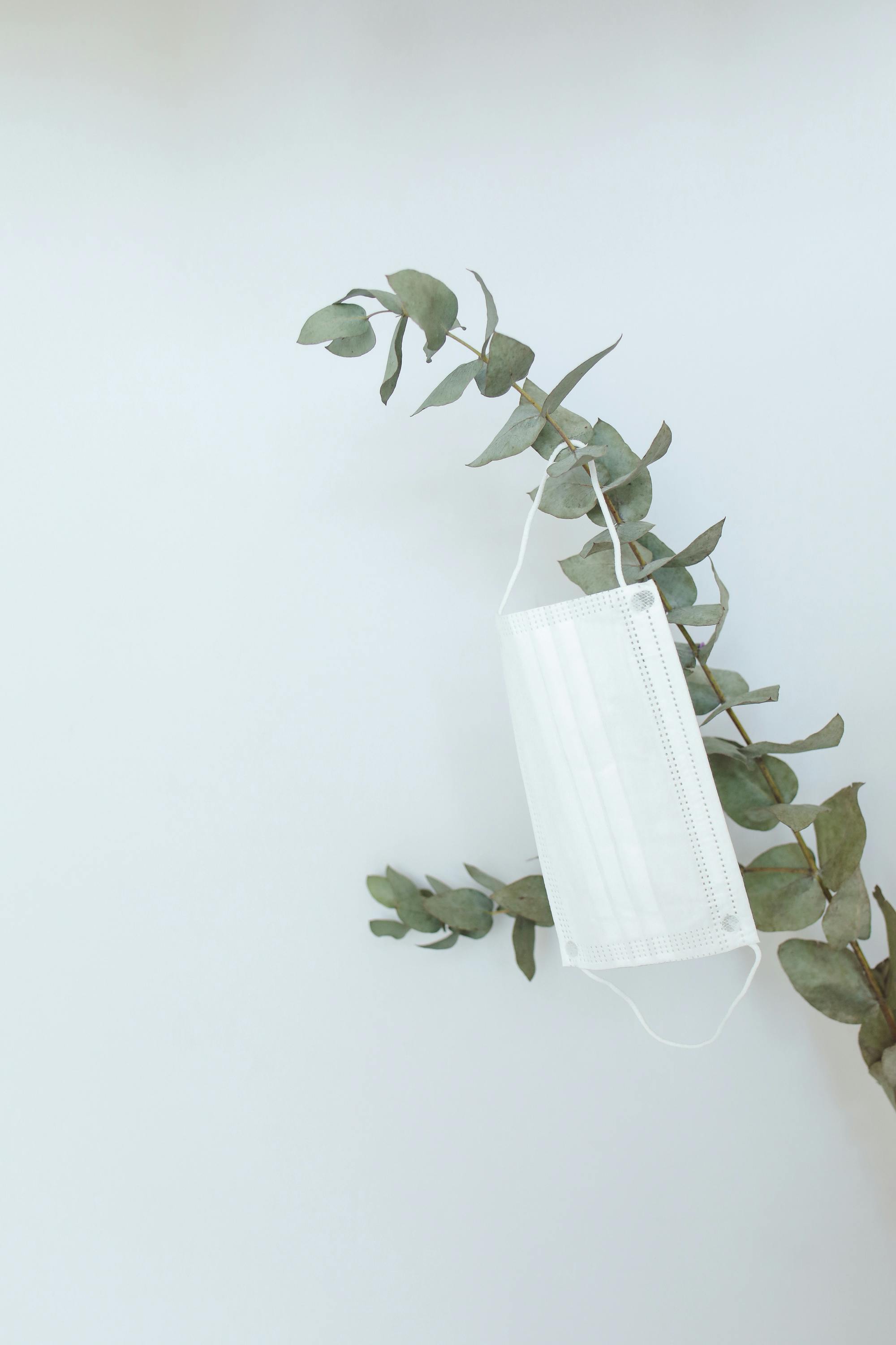 Kostenlos Kostenloses Stock Foto zu #indoor, 2021, ast Stock-Foto