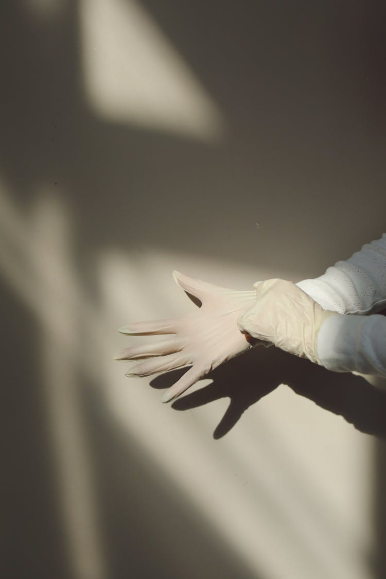 Person Wearing White Latex Gloves