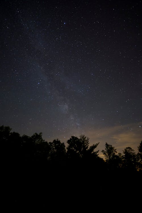Gratis Immagine gratuita di alberi, astronomia, cielo Foto a disposizione