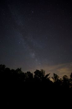 美丽的星空，以银河和树木的轮廓为特色
