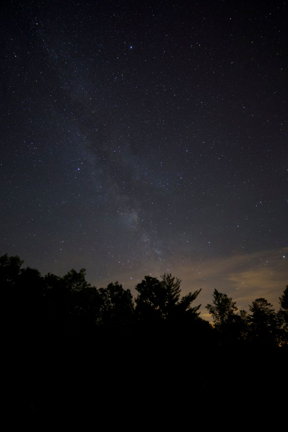 Trees Under Starry Sky at Night · Free Stock Photo