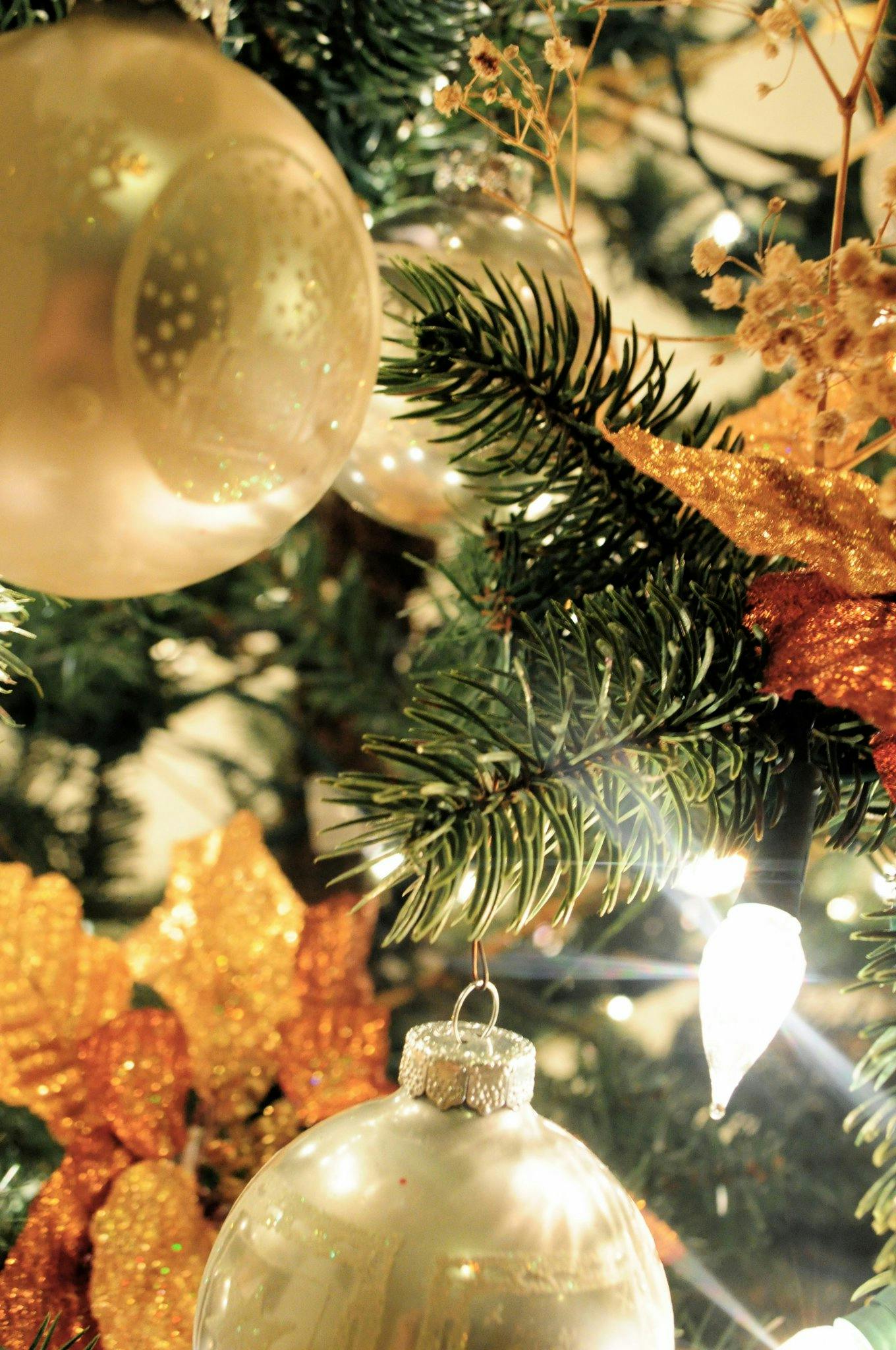 Walgreens Photo Free Christmas Tree Ornaments Printables