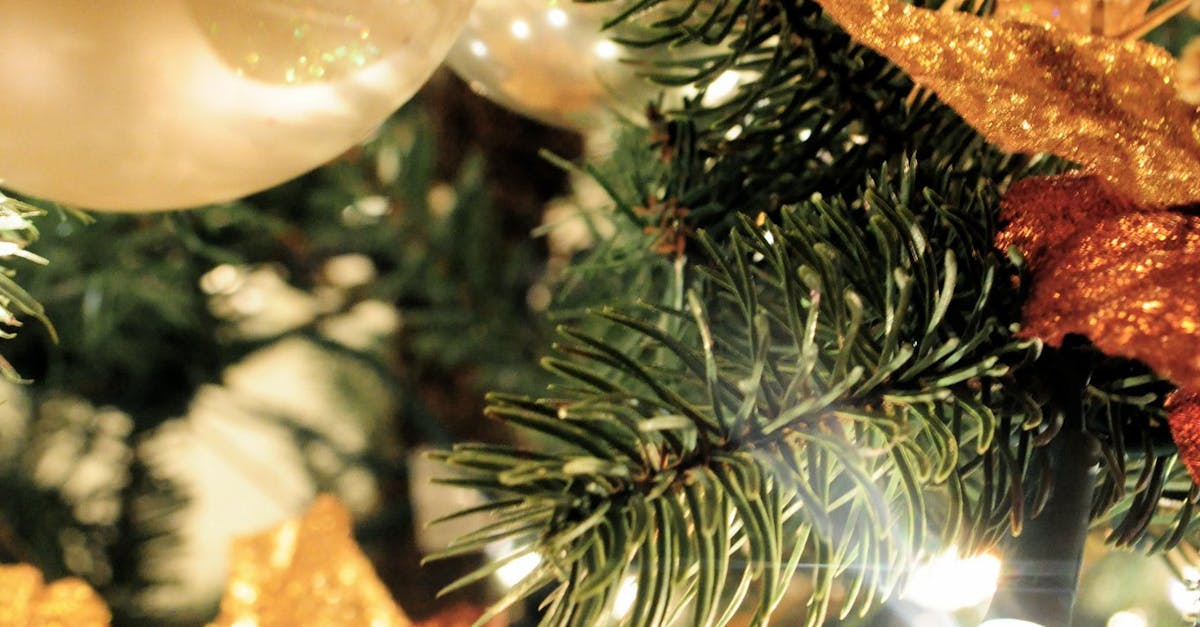 Free stock photo of christmas tree, ornaments