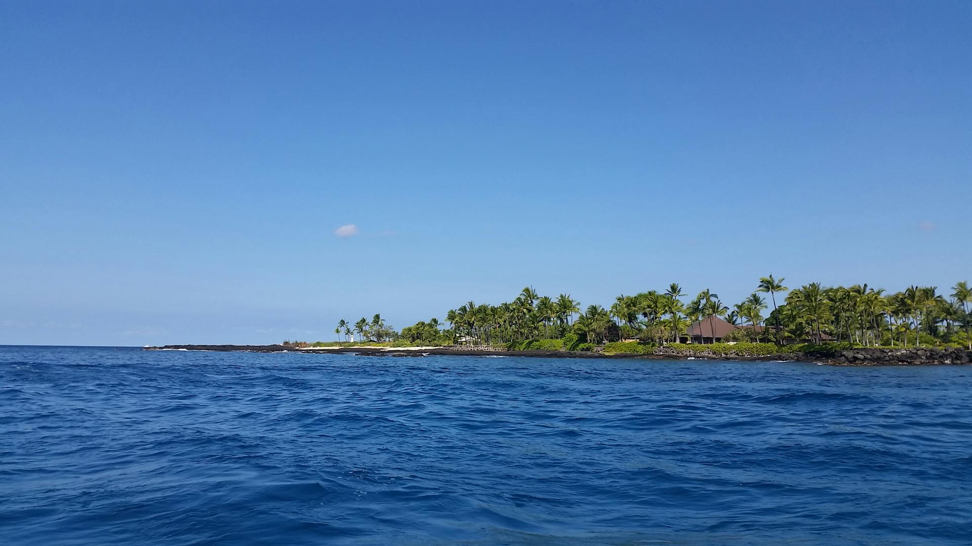 A tranquil tropical island scene with palm trees and vibrant blue waters in French Polynesia.