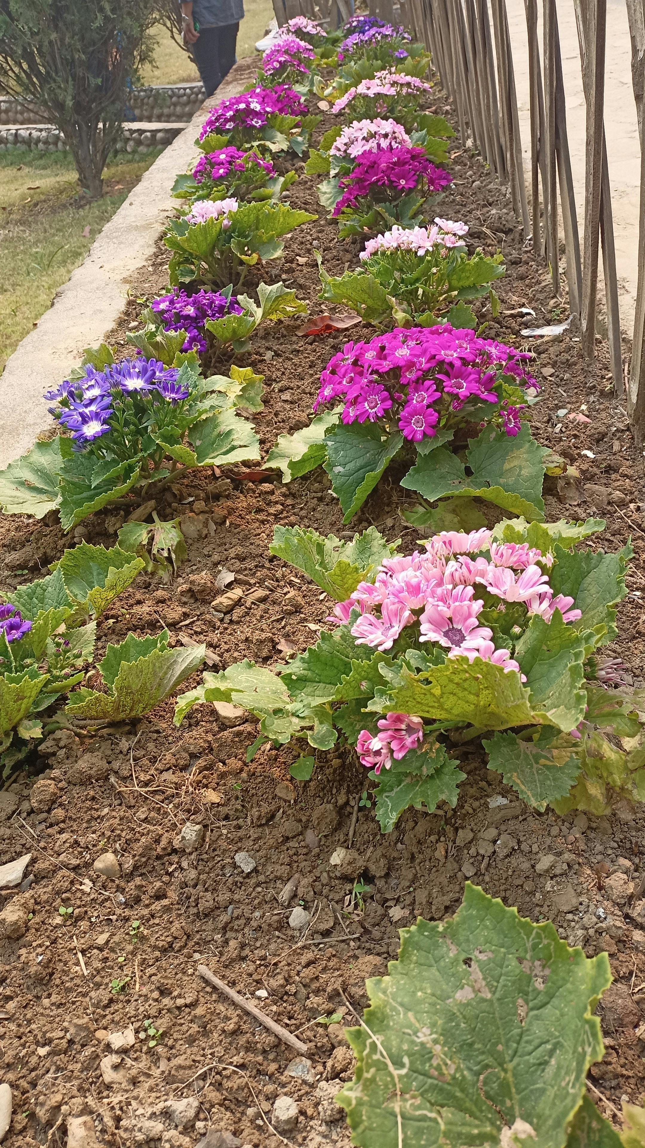 Person writing in a journal while sitting at a desk with a cup of coffee