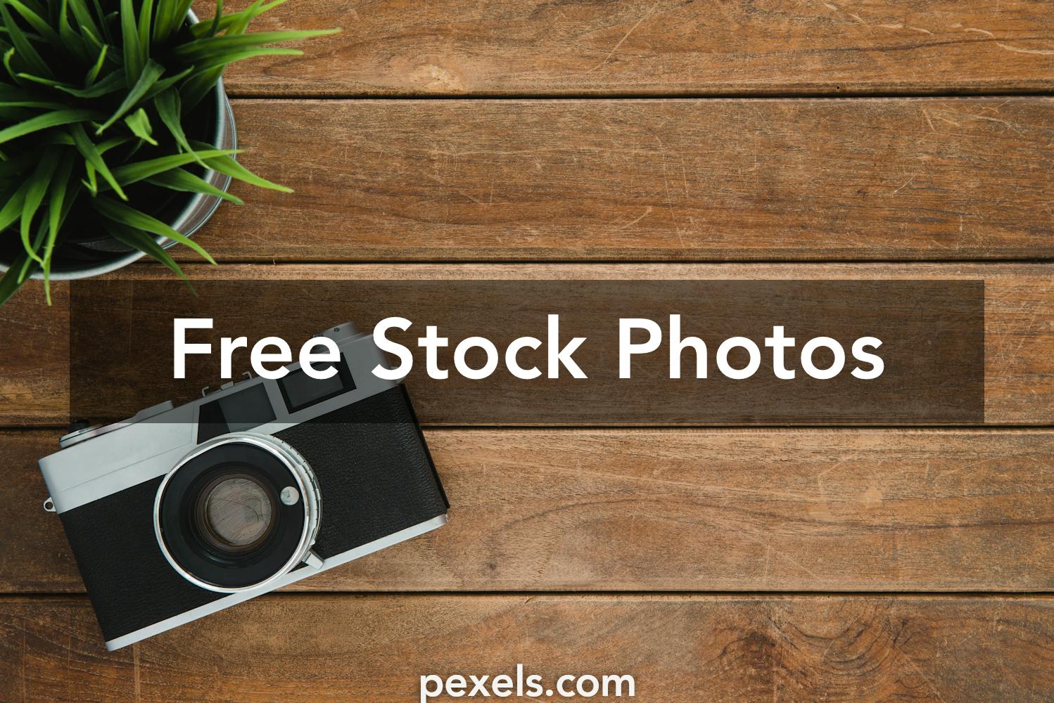 Image Photos, Download The BEST Free Image Stock Photos & HD Images