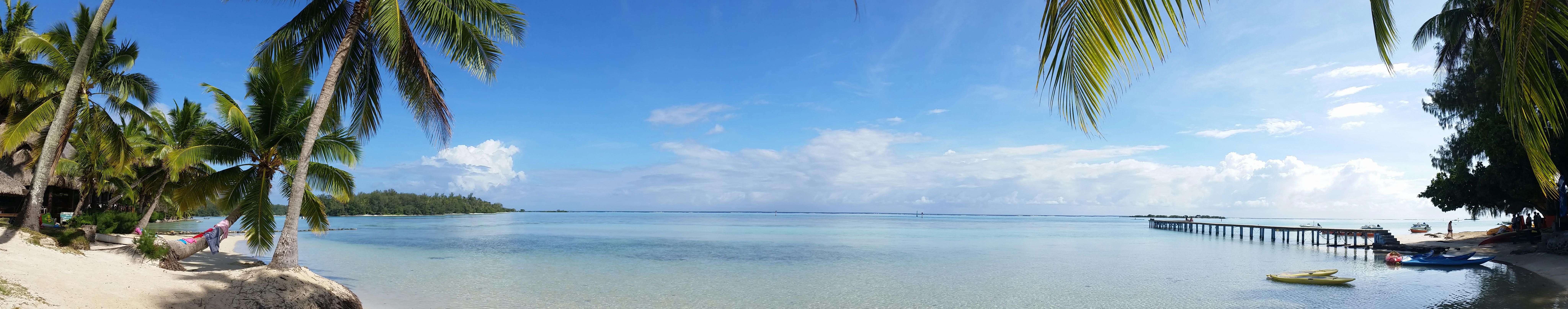 250 interesting panoramic photos pexels free stock photos